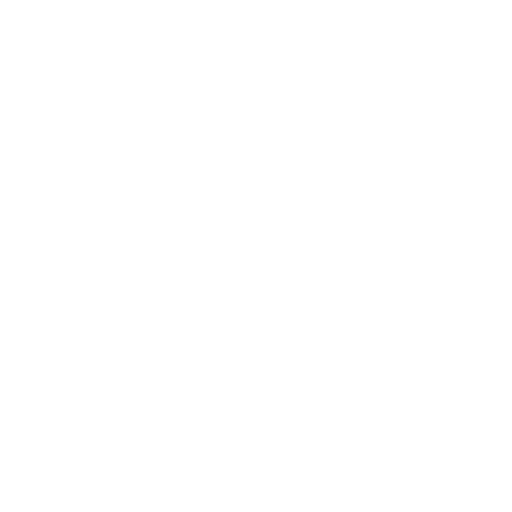 Performance Review & Optimization