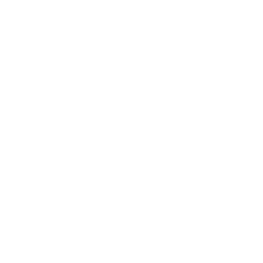 Ongoing Technical Support