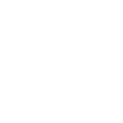 Strategy Development