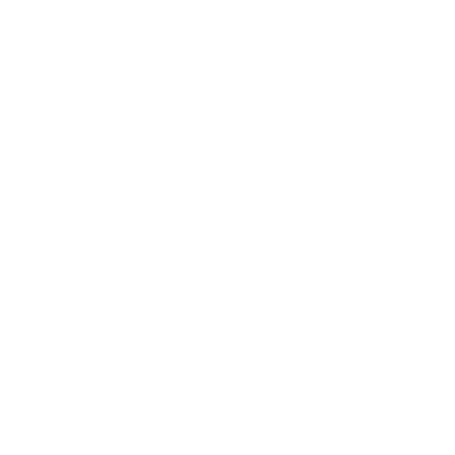 Website Audit