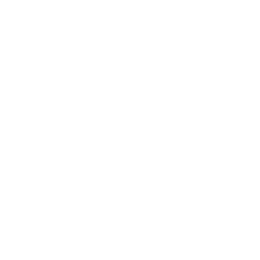 MVP Development / Prototyping