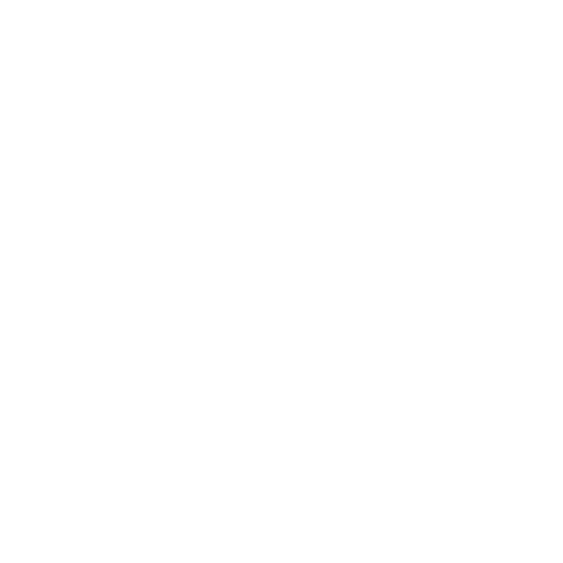 Technical SEO Audits