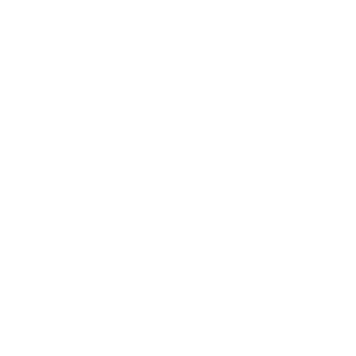 Expert Team