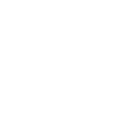 Custom Enterprise Development