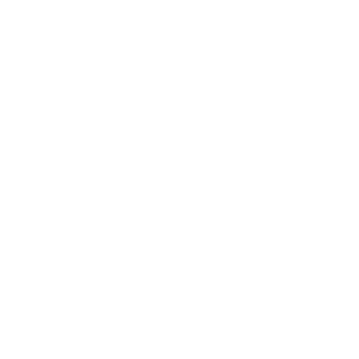 Dedicated Expert Support