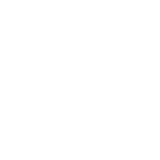 Ongoing Growth Strategy