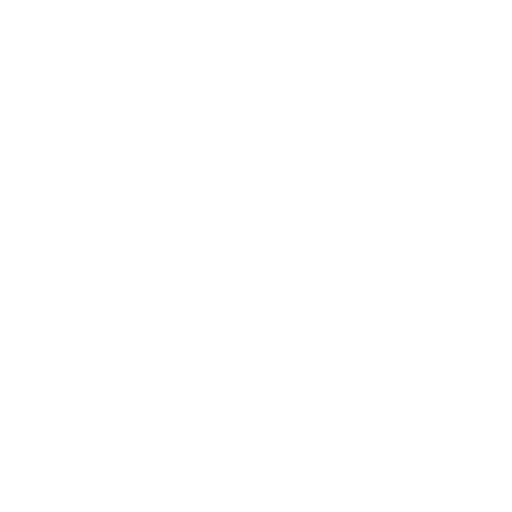 Google Ads Management