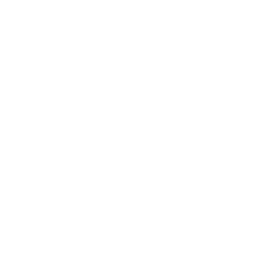 Video Marketing