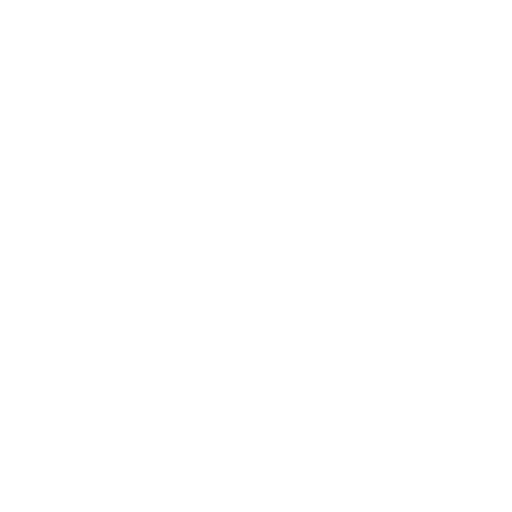 Custom SEO Plans